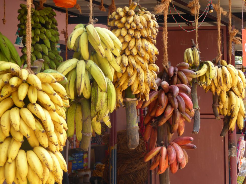 Bananas are rich in vitamins and minerals