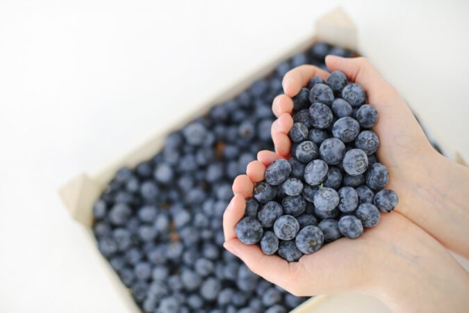 Blueberries in the palm of hands