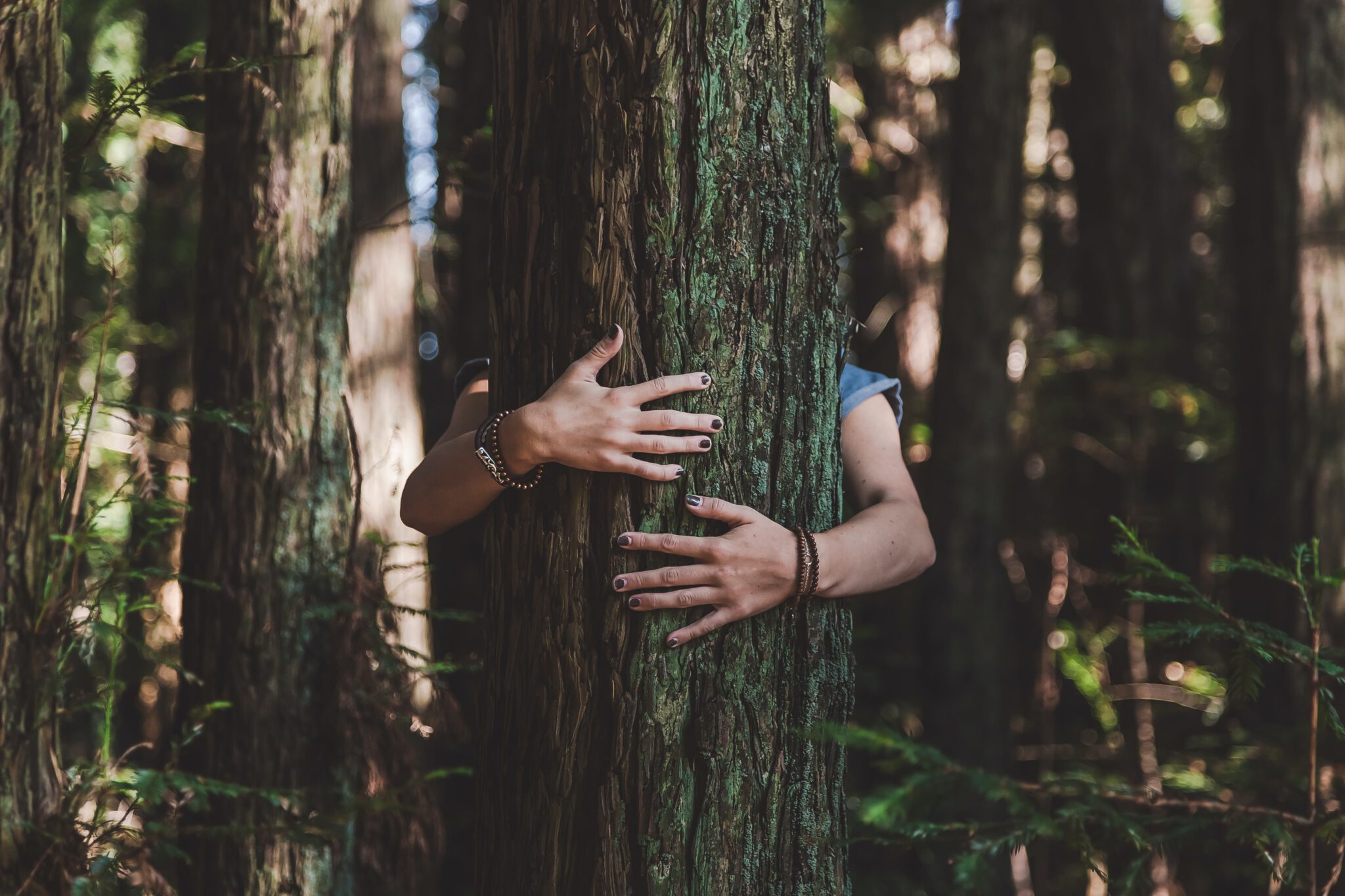 12 Tree Hugging Tips - [Benefits, Effects and How To Do It]